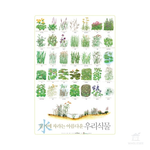 물가에서 자라는 식물 포스터