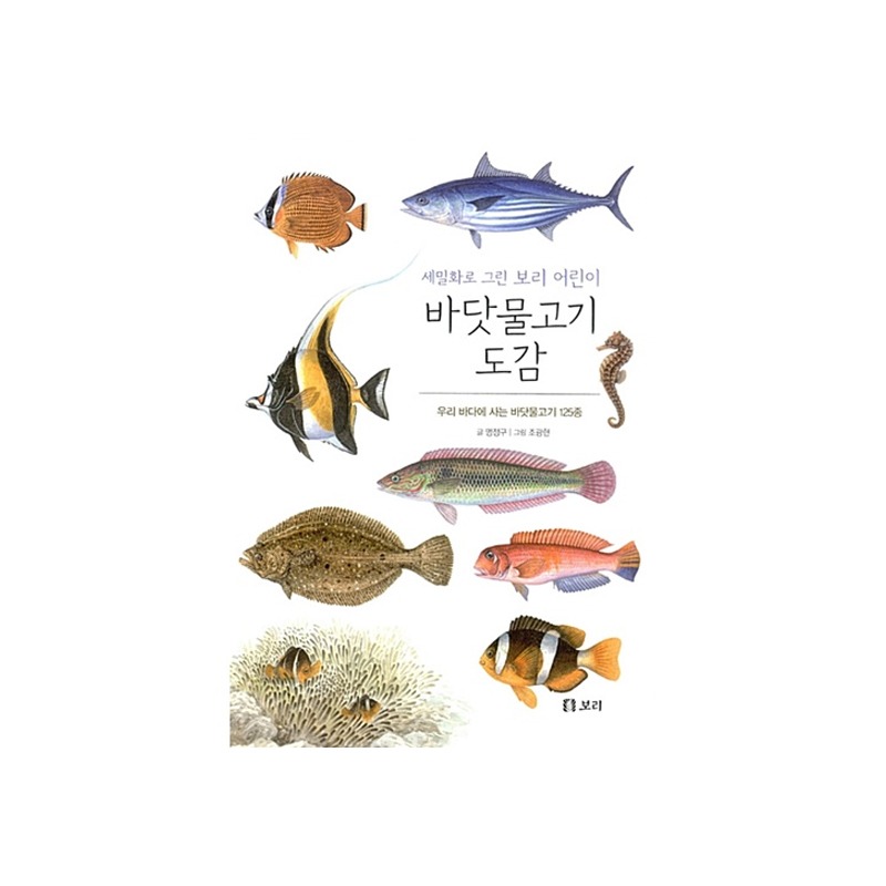 [도서] 세밀화로 그린 보리 어린이 바닷물고기 도감 (보급판)
