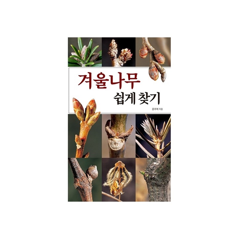 [도서] 겨울나무 쉽게 찾기 (전면개정판)