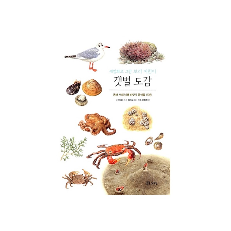 [도서] 세밀화로 그린 보리 어린이 갯벌 도감 (보급판)