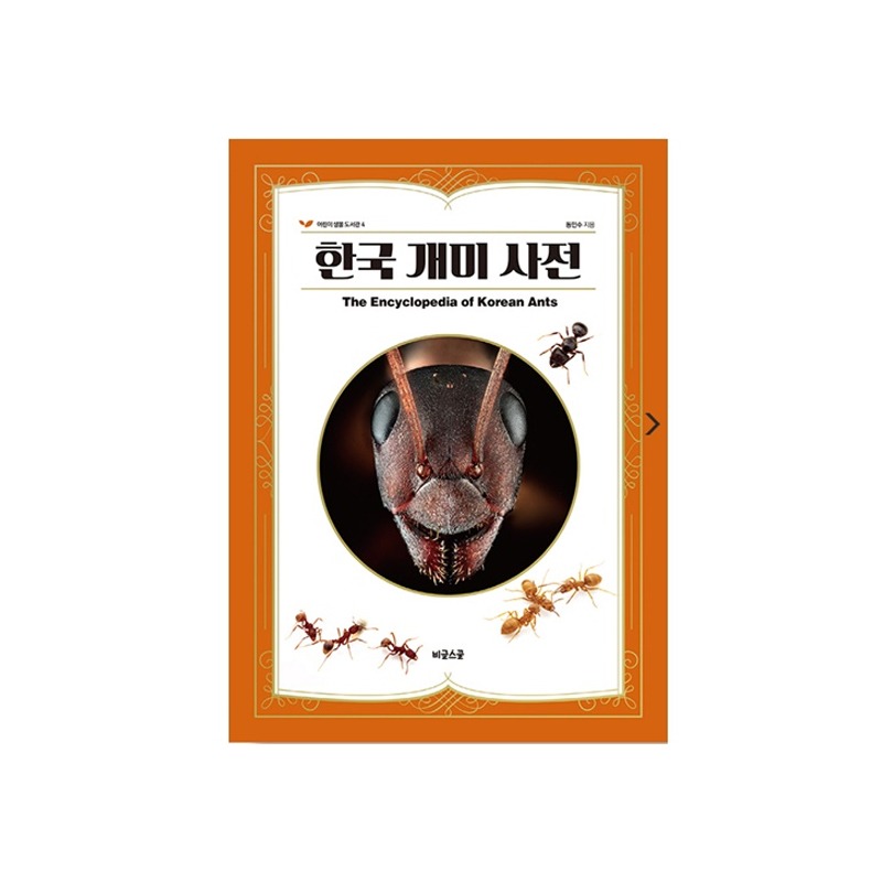 [도서] 한국 개미 사전 (자연과생태)