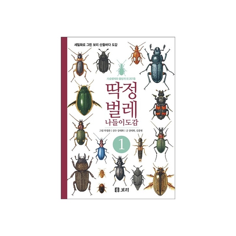 [도서] 딱정벌레 나들이도감 1