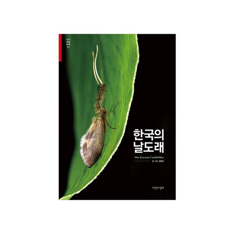 [도서] [한국생물목록 30] 한국의 날도래 (자연과생태)