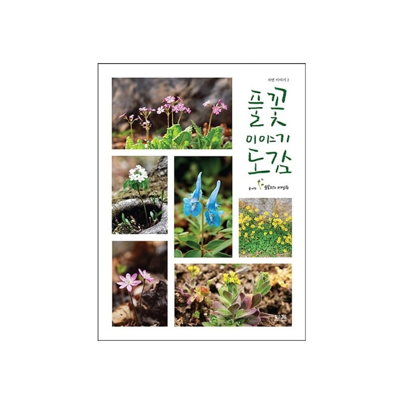 [도서] 풀꽃이야기도감 (자연이야기2)
