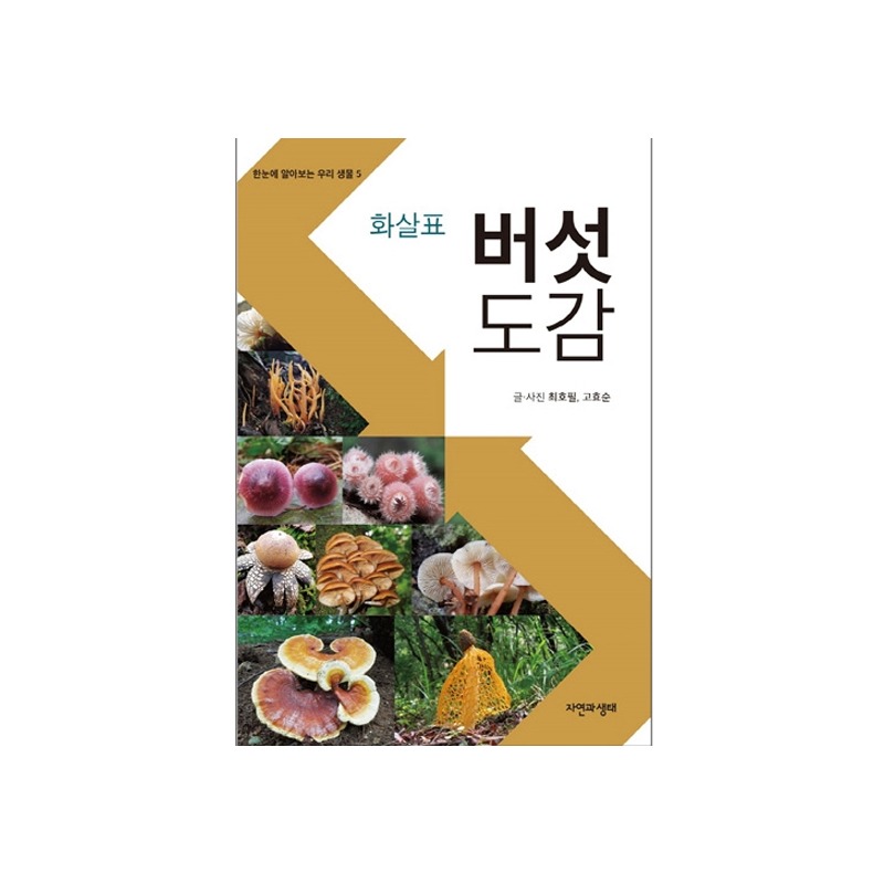 [도서] 화살표 버섯도감 (자연과생태)