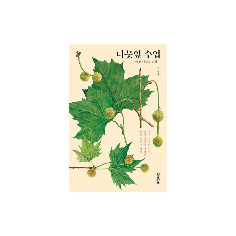 [도서] 나뭇잎 수업
