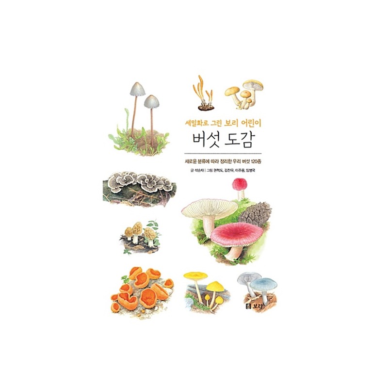 [도서] 세밀화로 그린 보리 어린이 버섯 도감 (보급판)