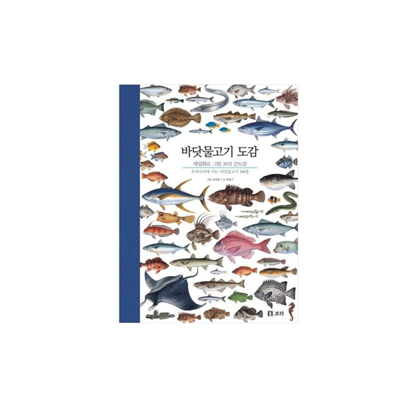 [도서] 세밀화로 그린 보리 큰도감-바닷고기 도감