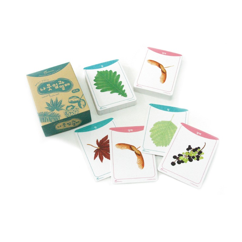 나뭇잎과 열매 놀이카드