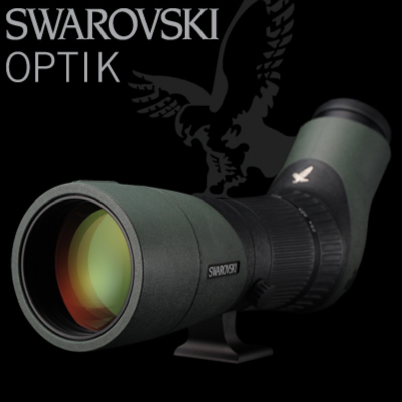 SWAROVSKI ATX 65mm 스코프세트