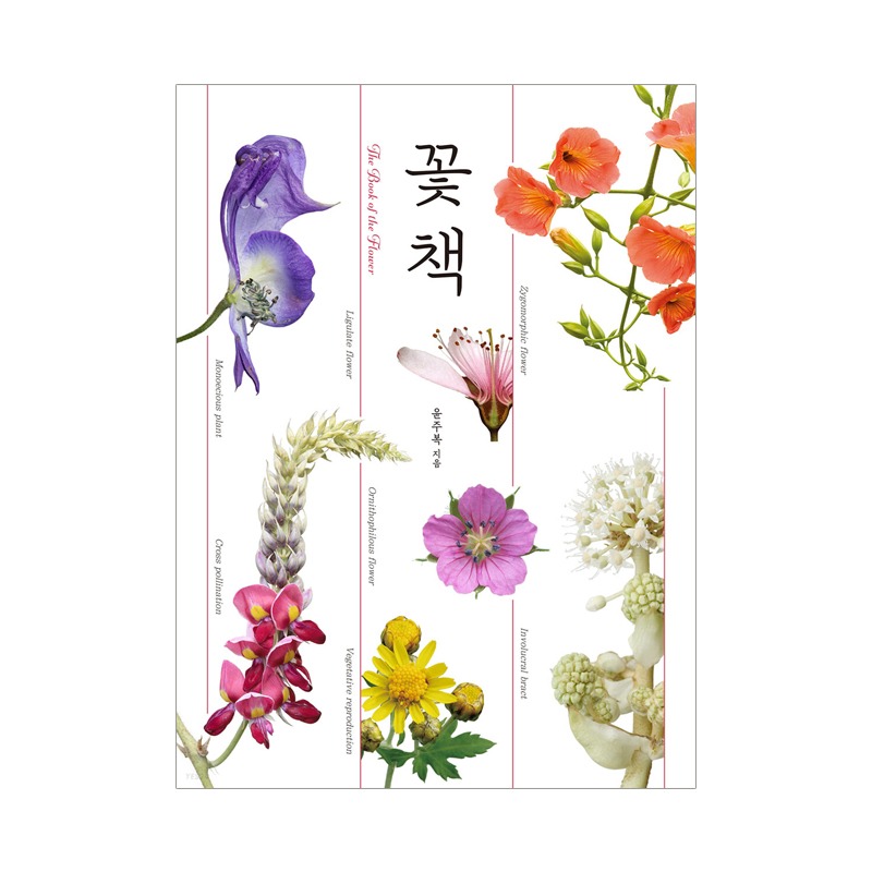 꽃책