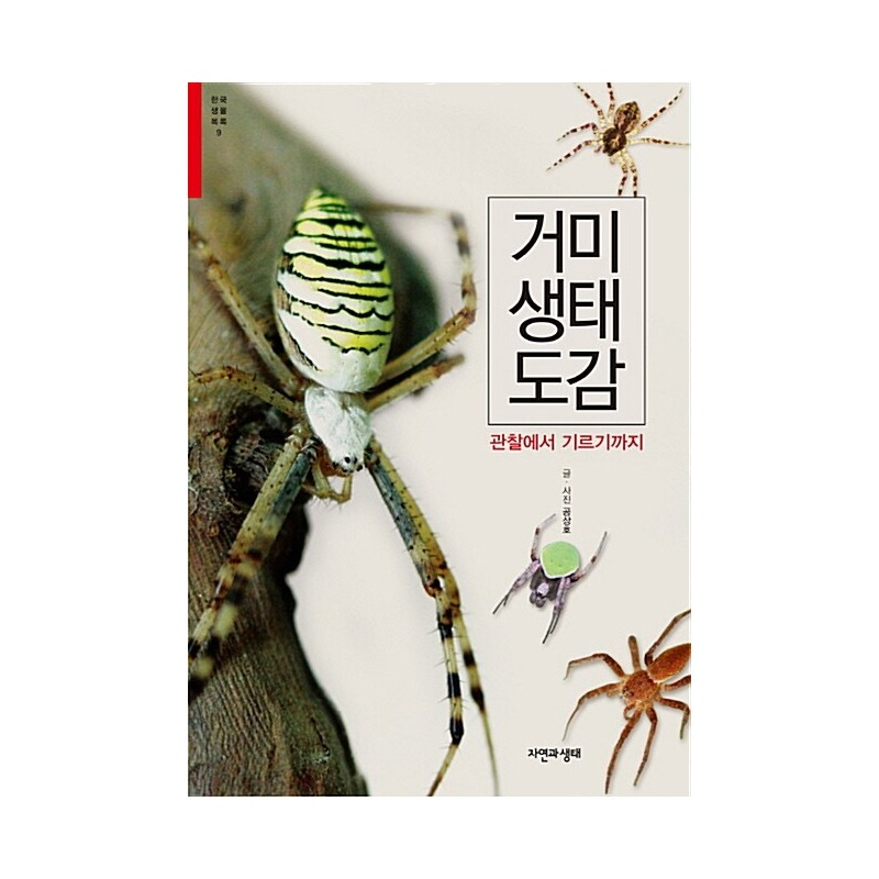 [도서] [한국생물목록 9] 거미 생태 도감