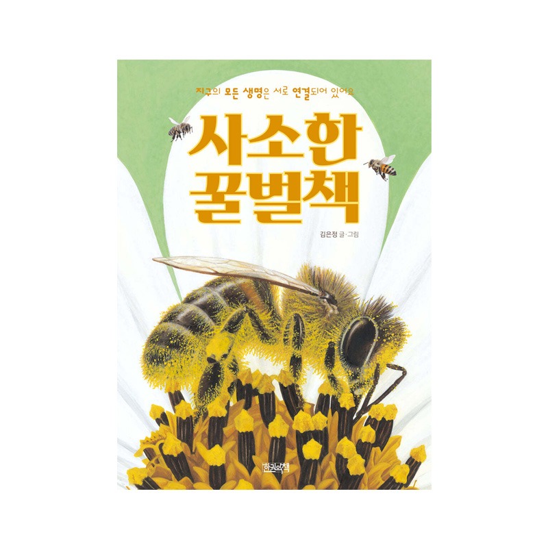 [도서] 사소한 꿀벌책